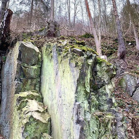 Haus Iris Daire *