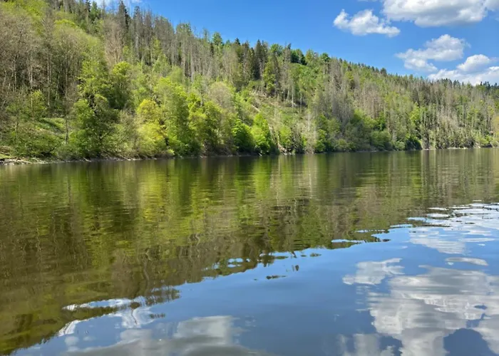 Haus Iris Apartment *