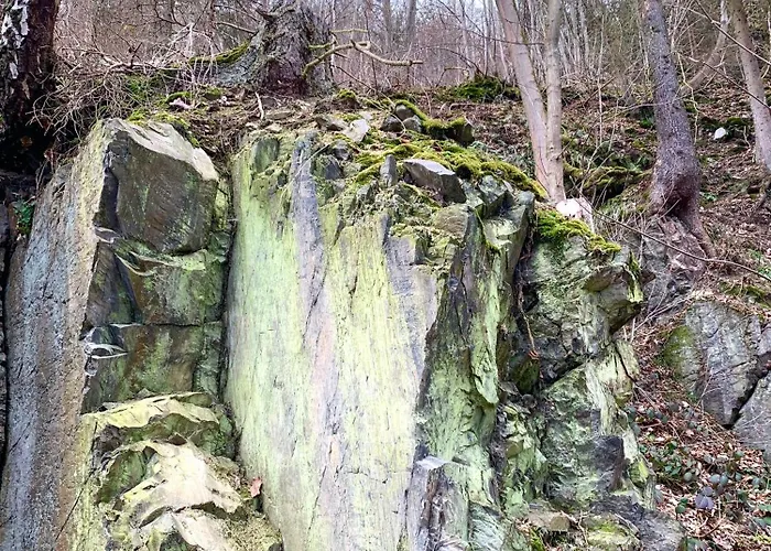 Haus Iris Apartment *